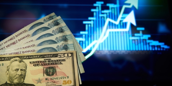 Dolar/TL 49,1630 Seviyesine Ulaşarak Tarihi Zirvesini Yeniledi