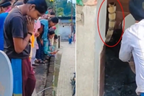 Hindistan'ın Himachal Pradesh Eyaletinde Bir Evin Klozetinde Dev Kobra Bulundu