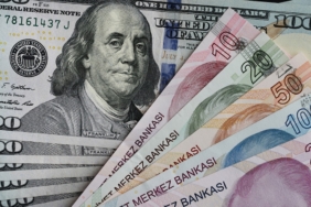 Dolar Kuru 49,18 Seviyesine Ulaşarak Tarihi Zirvesini Yeniledi