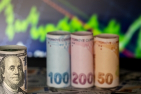 Dolar küreselde gerilerken TL’de rekor serisi sürüyor