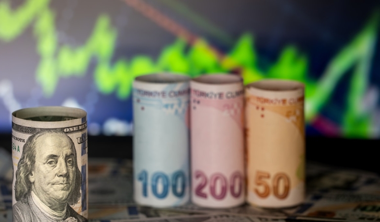 Dolar küreselde gerilerken TL’de rekor serisi sürüyor