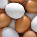 Yumurtanın Besin Değerini Koruyan En Sağlıklı Pişirme Yöntemleri Açıklandı