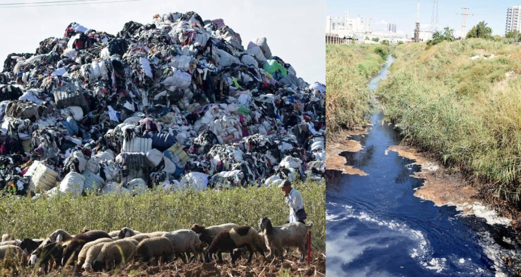 Avrupa Plastik Atıklarının Hedefi Olan Akdeniz Sahillerinde Mikroplastik Tehdidi Büyüyor