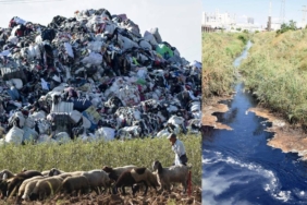 Avrupa Plastik Atıklarının Hedefi Olan Akdeniz Sahillerinde Mikroplastik Tehdidi Büyüyor