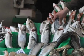Eczane takviyelerine alternatif: Roskachestvo'nun kasım ayı balık önerisi